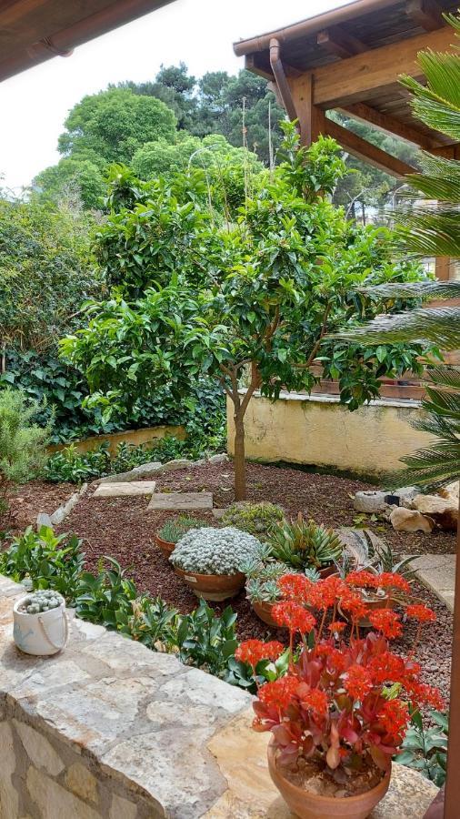B&B Verdeblu Valderice Ngoại thất bức ảnh